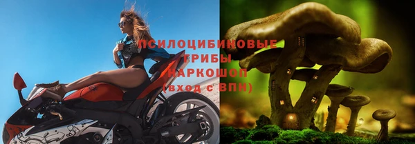 герыч Алзамай