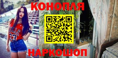 mdpv Лесосибирск
